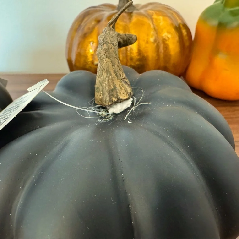 Hobby Lobby Black& Gold Pumpkins and Nanu Orange Pumpkin Decor Set